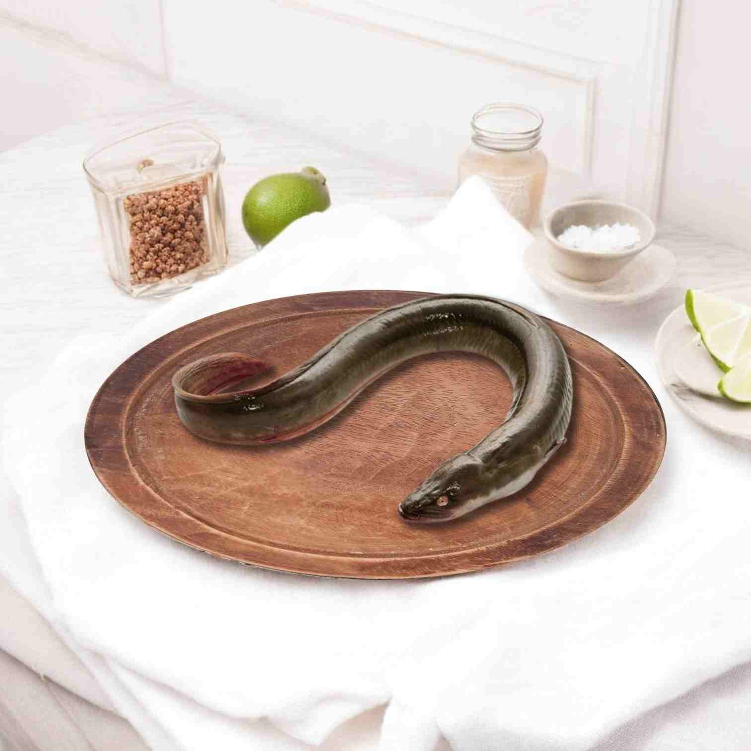 Sea Eel(Unagi) - Cut